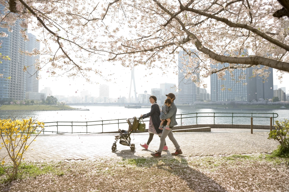 Top 14 places in Japan to see cherry blossom