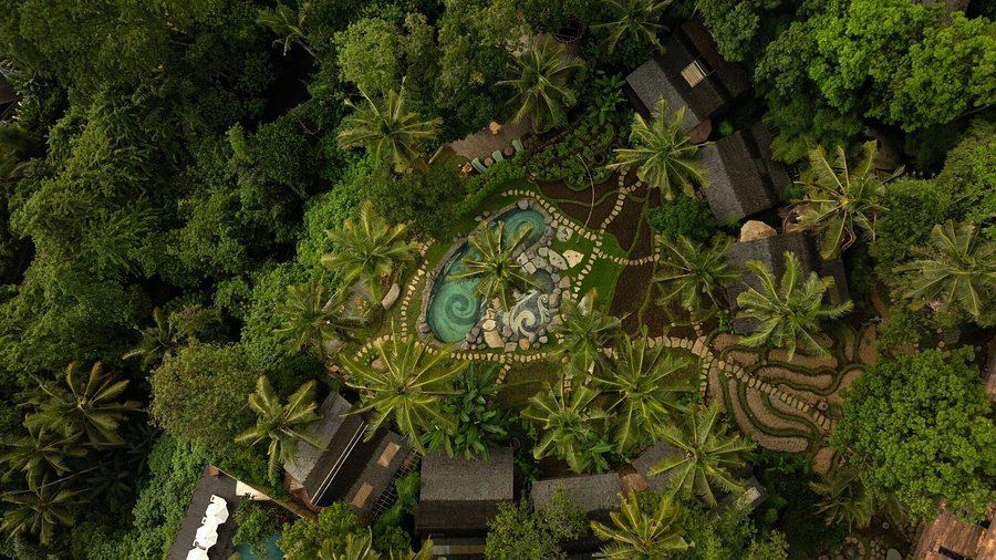 Bambu Indah Resort in the little forest