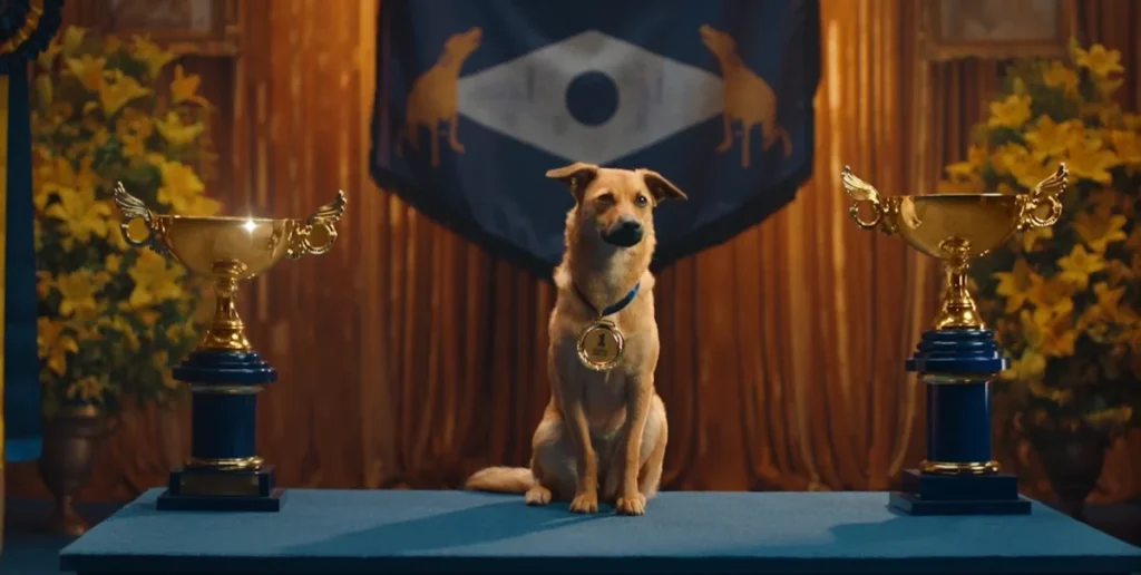 Caramelo: The Mutt that’s Become a Symbol of Brazilian Heritage