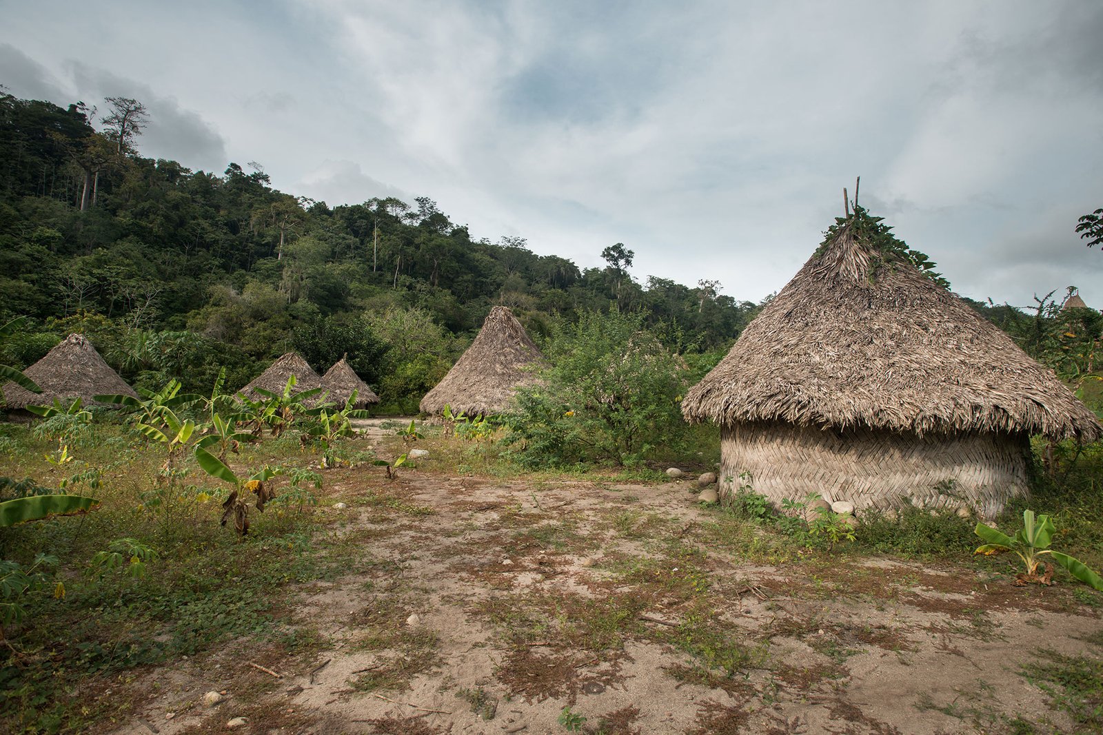 Visits with experts to indigenous communities