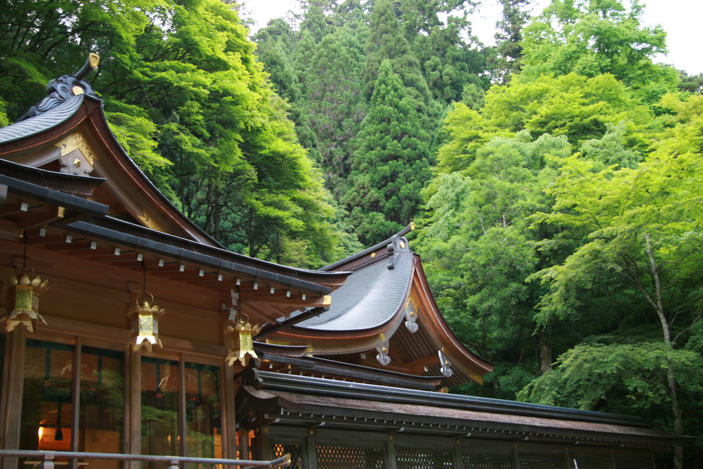 Santuarios y templos de Kyoto abiertos a oraciones y visitas matutinas