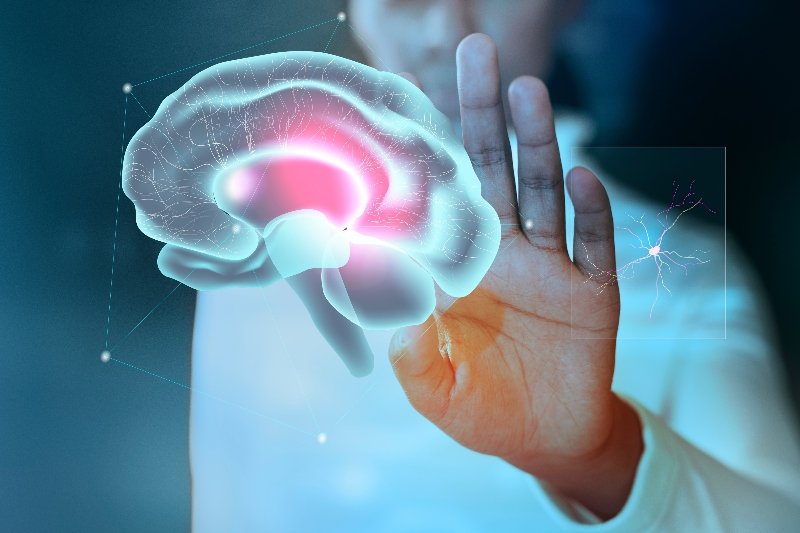 El 80% de la rotación laboral se origina en la selección: la neurociencia ayuda a elegir al candidato correcto El 80% de la rotación laboral se origina en la selección: la neurociencia ayuda a elegir al candidato correcto