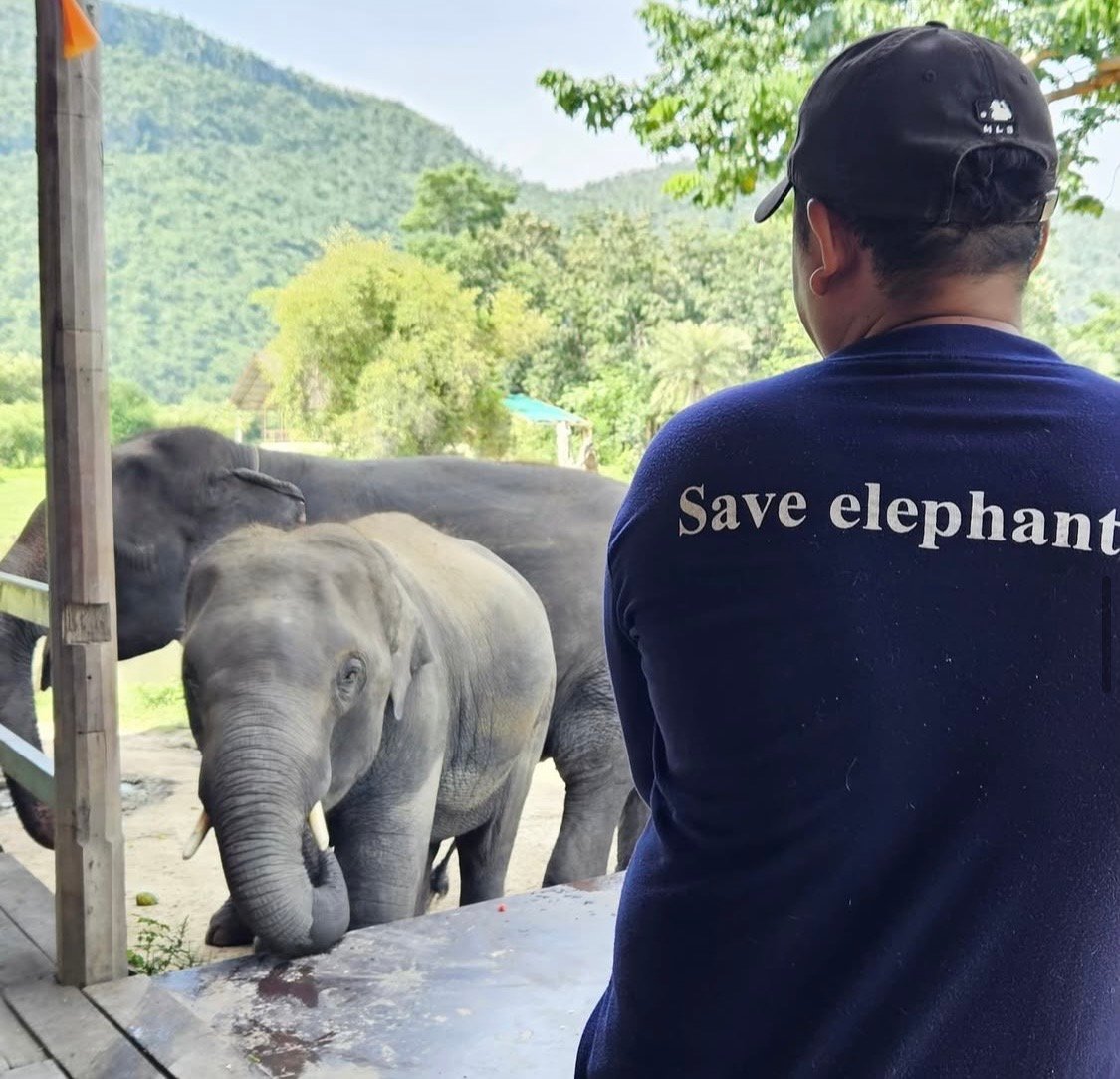 Hoy cuidamos a los gigantes de la naturaleza