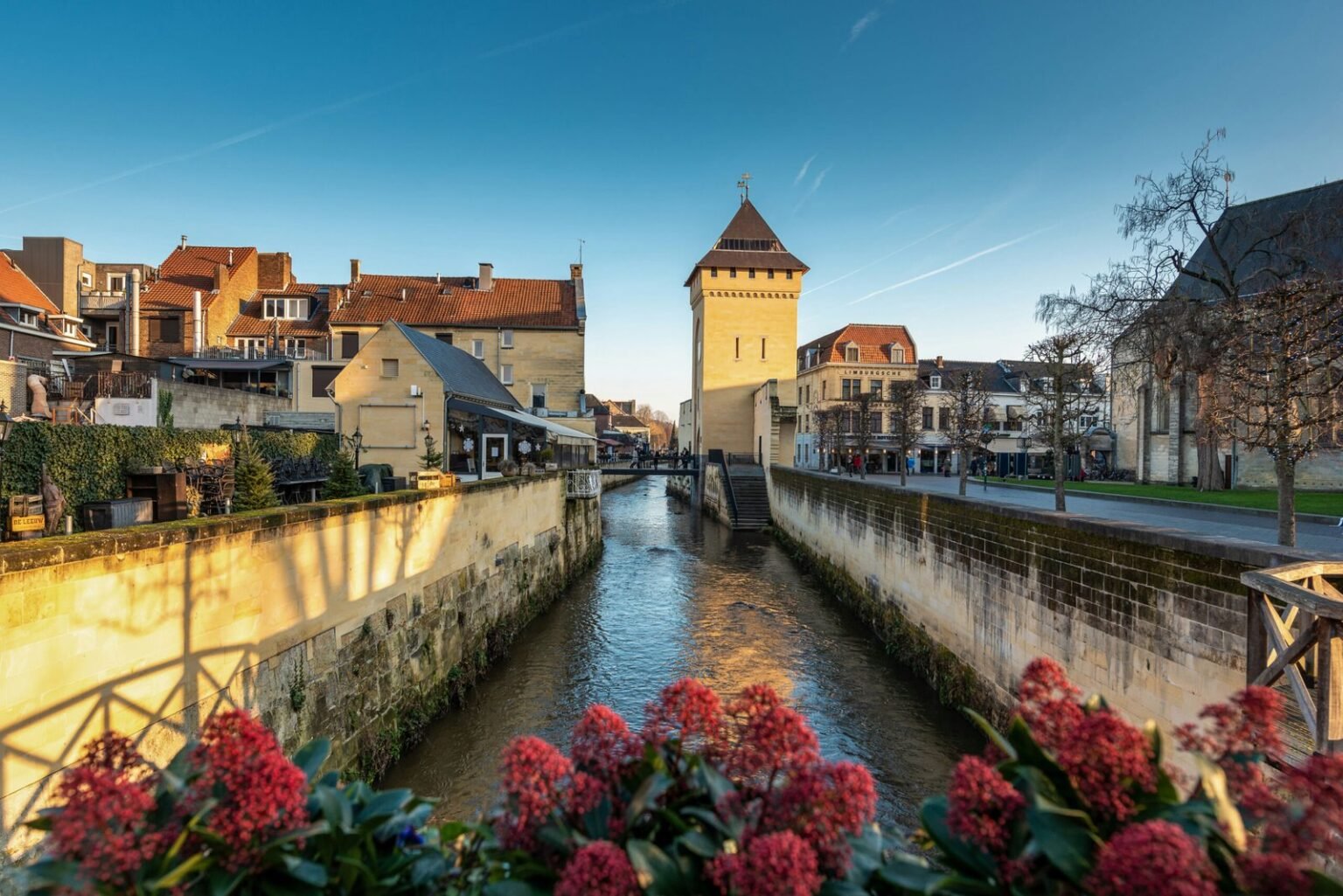 Sienta crujir las hojas bajo sus pies mientras pasea por la plaza Velvet