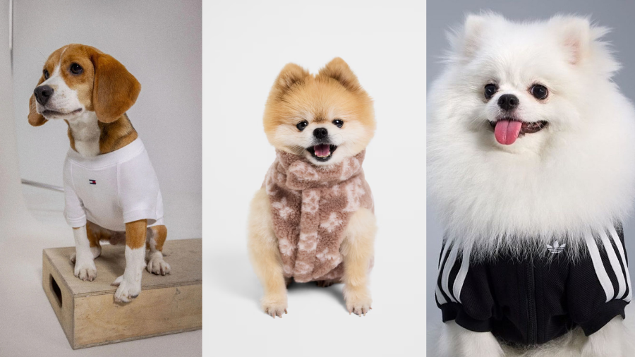 El nuevo lujo también camina en cuatro patas