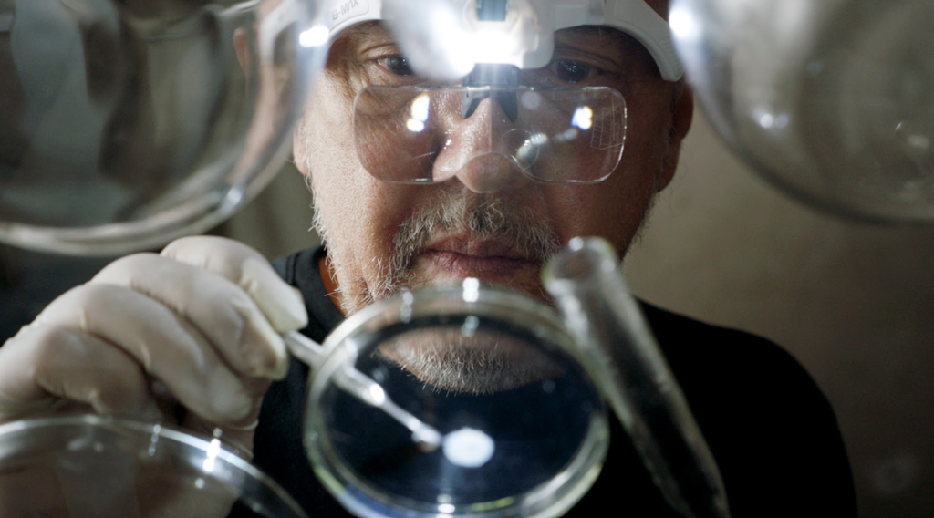 VML LATAM presenta sus Cannes Contenders 2026