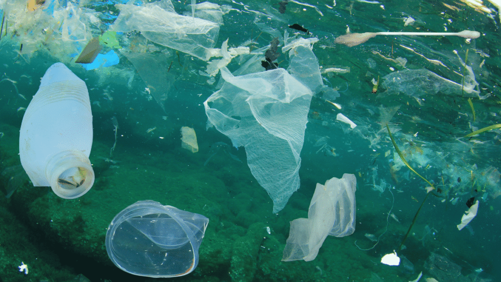 Investigadores argentinos crean un filtro de agua con plástico reciclado